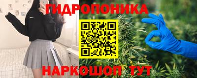каннабис Будённовск