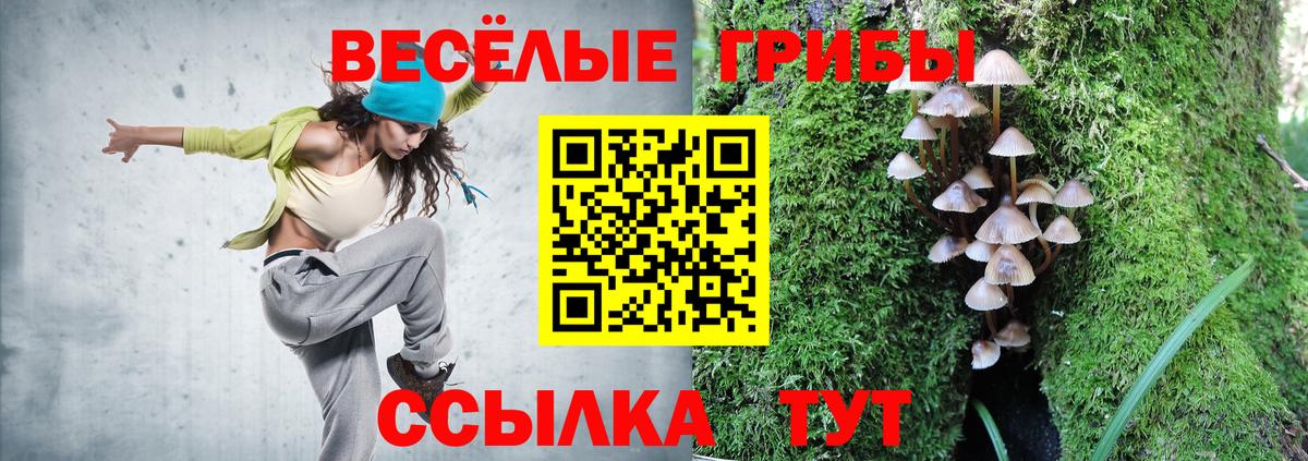 Псилоцибиновые грибы мухоморы  Вход с VPN  Михайловка  Псилоцибиновые грибы ЛСД 